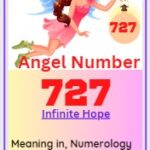 727 angel number