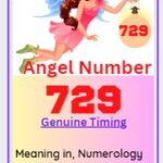 729 angel number
