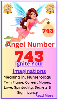 743 angel number meaning