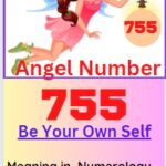 755 angel number