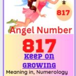 817 angel number
