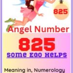 825 angel number