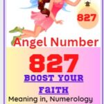 827 angel number