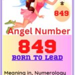 849 angel number