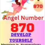 870 angel number