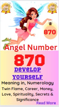 870 angel number