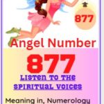 877 angel number