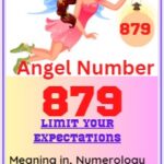 879 angel number