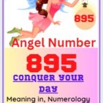 895 Number