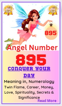 895 Number