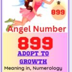 899 number