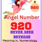 920 meaning