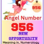 956 meaning