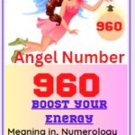 960 meaning
