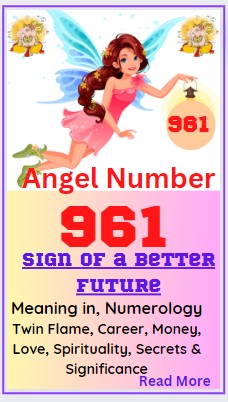 961 meaning