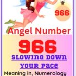 966 meaning