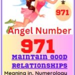 971 numberr