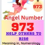 973 meaning