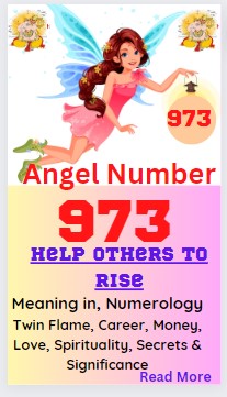973 meaning