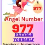 977 angel number