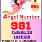 981 meaning