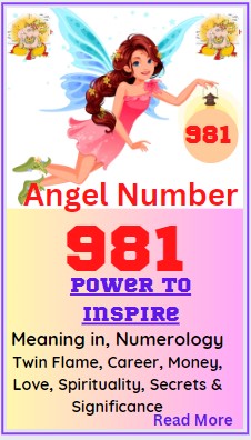 981 meaning