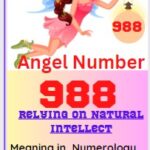 988 meaning