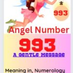 993 angel number