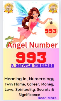 993 angel number
