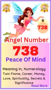 angel number 738