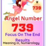 angel number 739