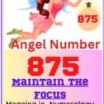 angel number 875