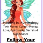 1329 Angel number