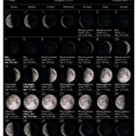 August 2024 moon phase Calendar