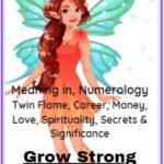 1482 angel number