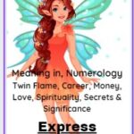 Angel number 1469