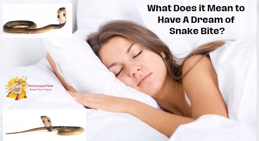 dream of snake bite