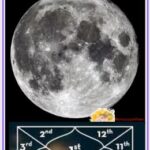 Moon in the 7th house