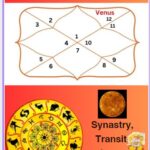 Venus in 12th house