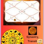Venus in 6th house