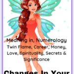 1529 angel number