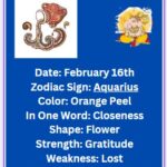February 16 zodiac sign Aquarius
