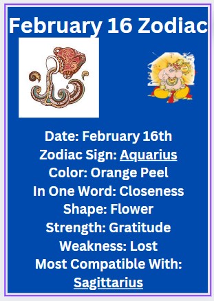 February 16 zodiac sign Aquarius