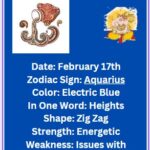 February 17 zodiac sign Aquarius