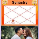 Mars in 6th house synastry
