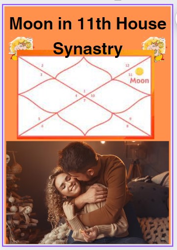 Moon in 11th house synastry