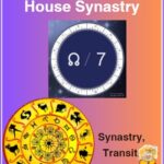 North node in 7th house synastry