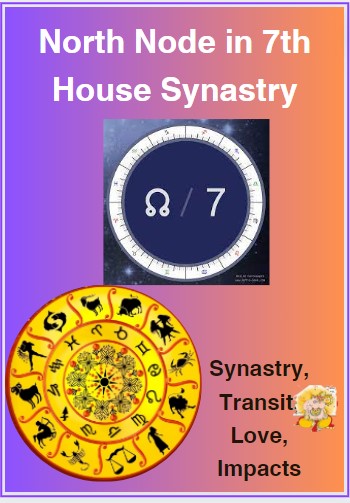 North node in 7th house synastry