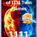 1111 twin flame