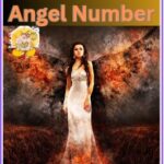 1648 angle number